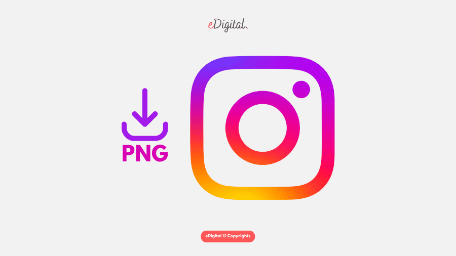 Instagram Precision Customer Acquisition: User Characteristics Introduction